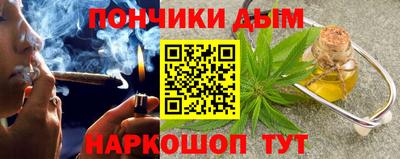 крисы Кунгур