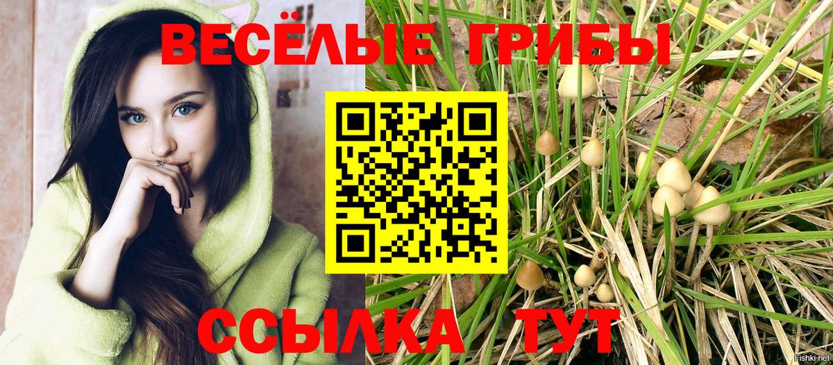 Галлюциногенные грибы Psilocybe Волжский